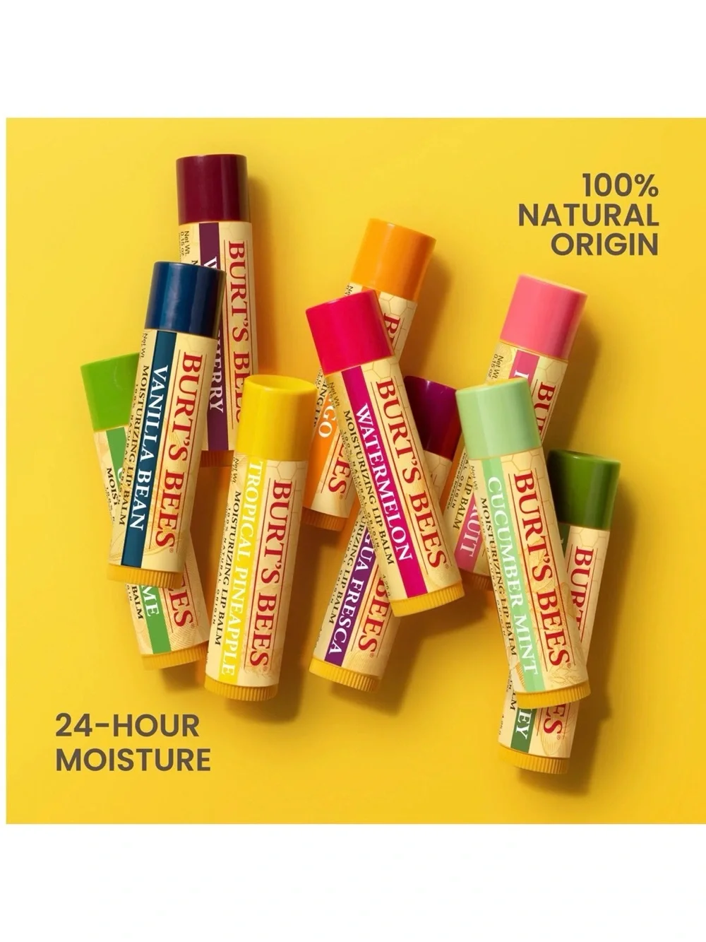 3/$12 Burt’s Bees Watermelon Moisturizing Lip Balm .15oz